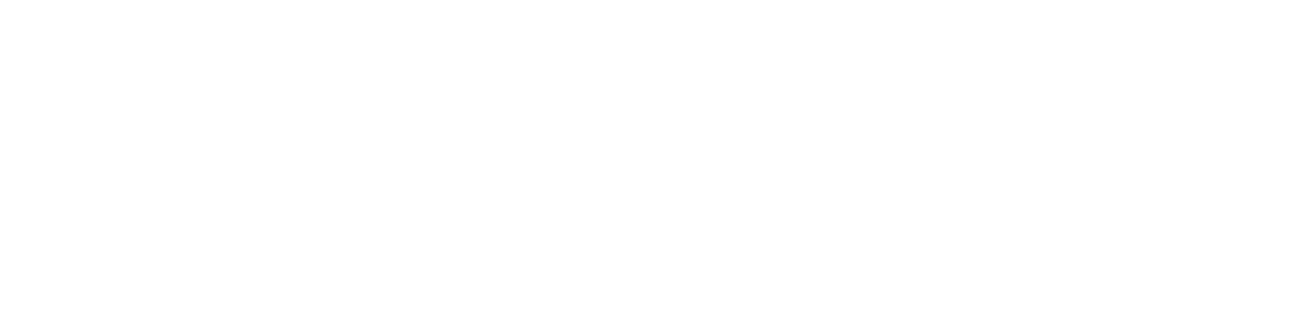 Vicosight