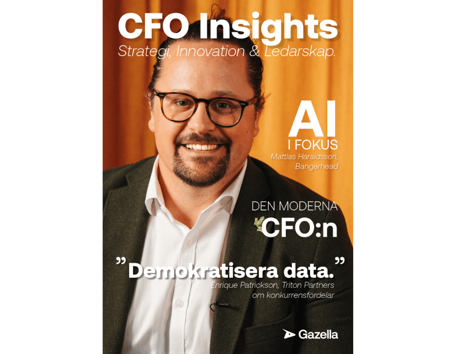 CFO Insights 2025