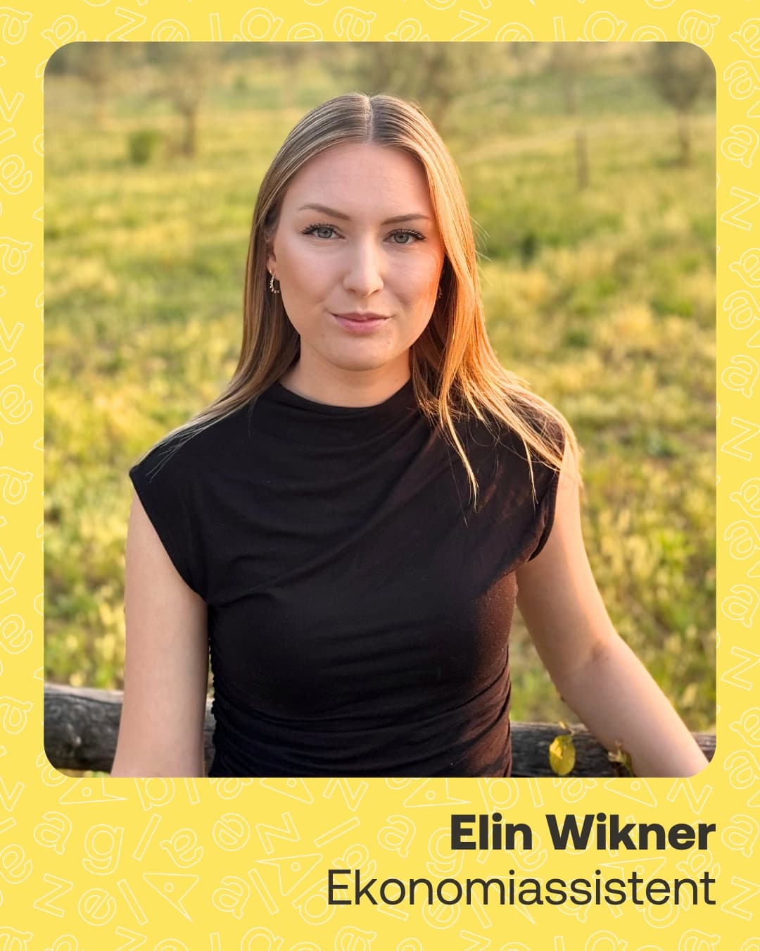 Elin Wikner - Consultant Stories