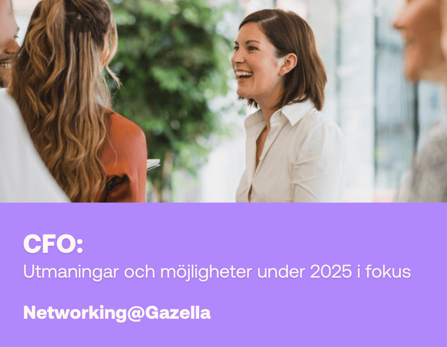 Nätverkslunch för CFO:er
