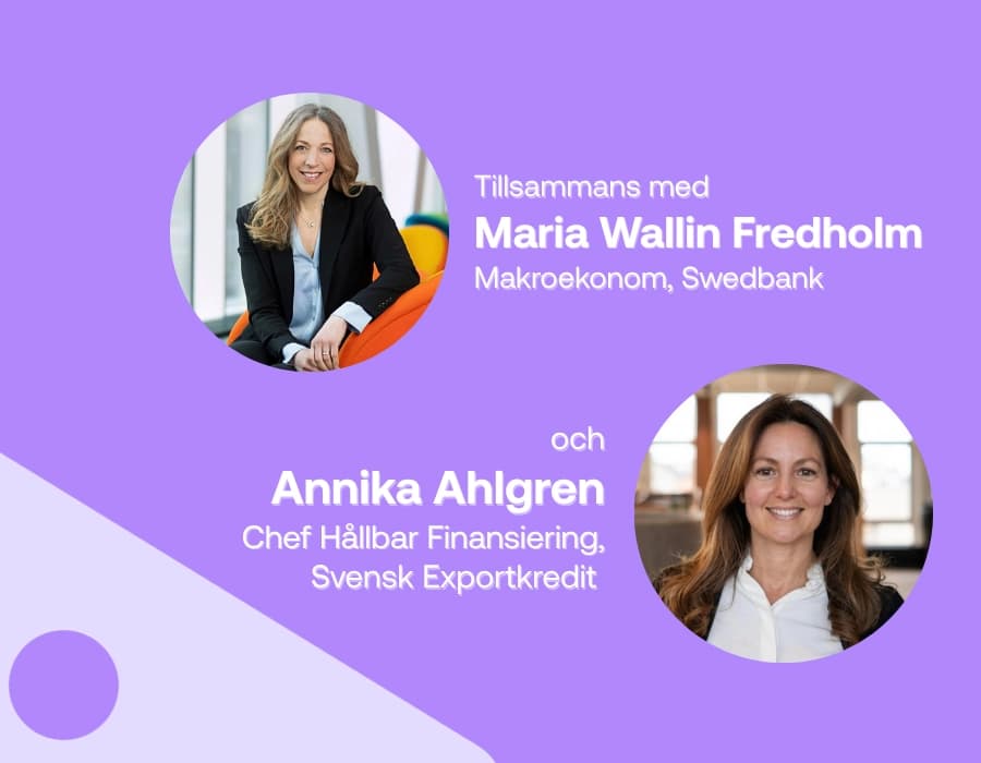 Strategier för osäkerhet: Från geopolitik till hållbarhet