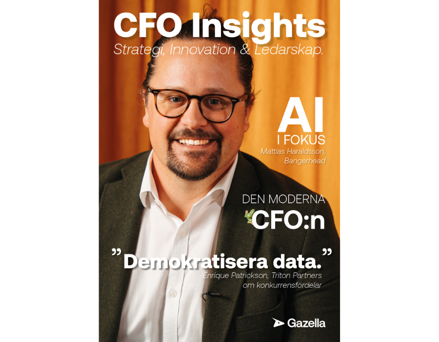 CFO Insights 2025
