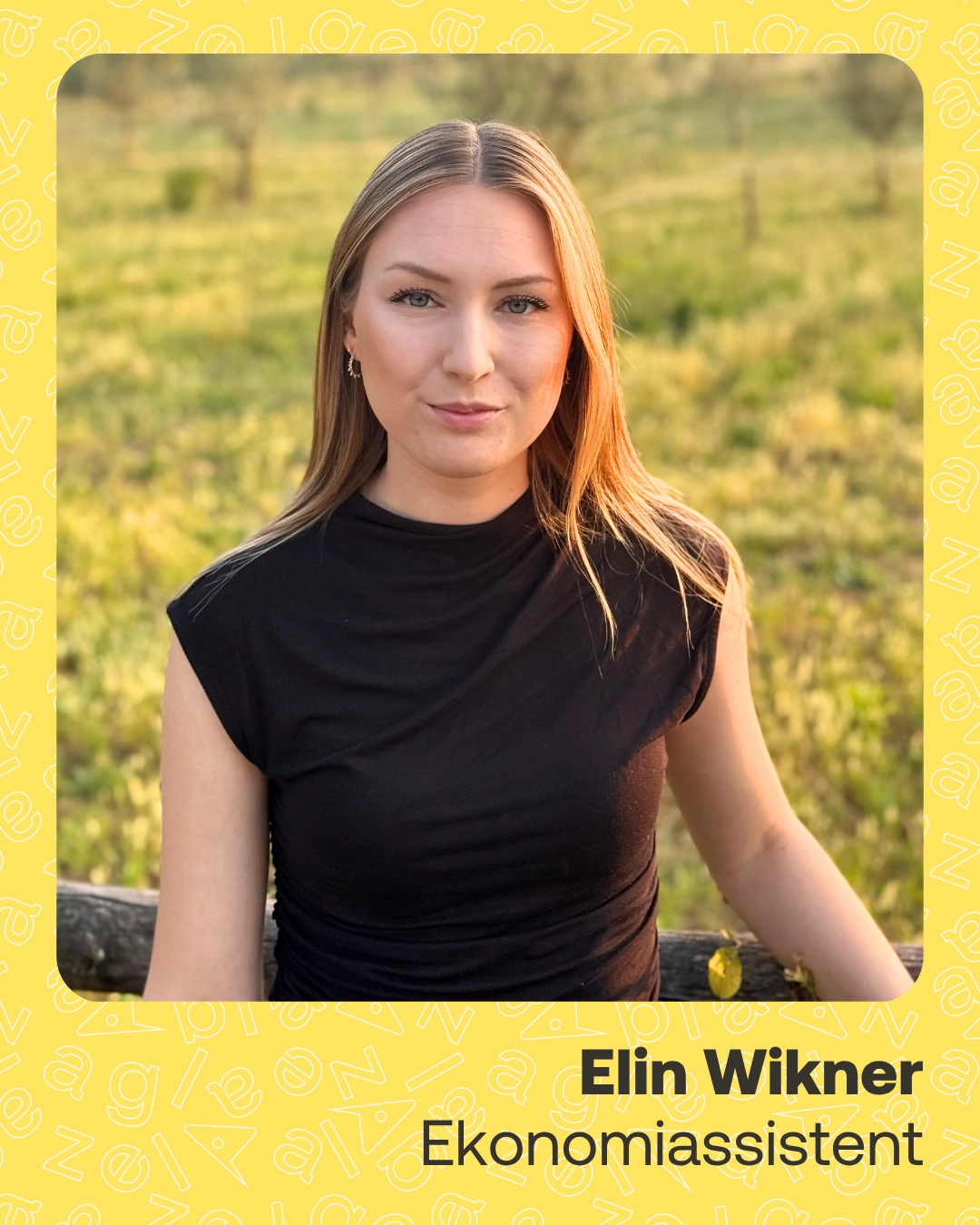 Elin Wikner - Consultant Stories