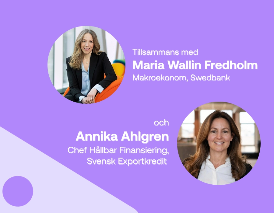 Strategier för osäkerhet: Från geopolitik till hållbarhet