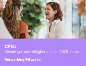 Nätverkslunch CFOs Gazella