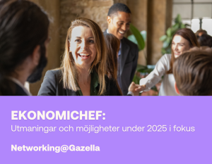 Nätverkslunch för ekonomichefer Gazella